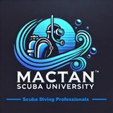 MSU-logo